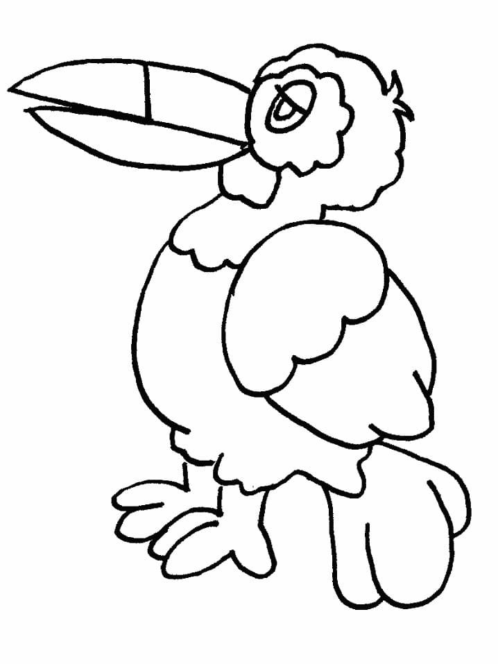 Toucan Bird coloring page