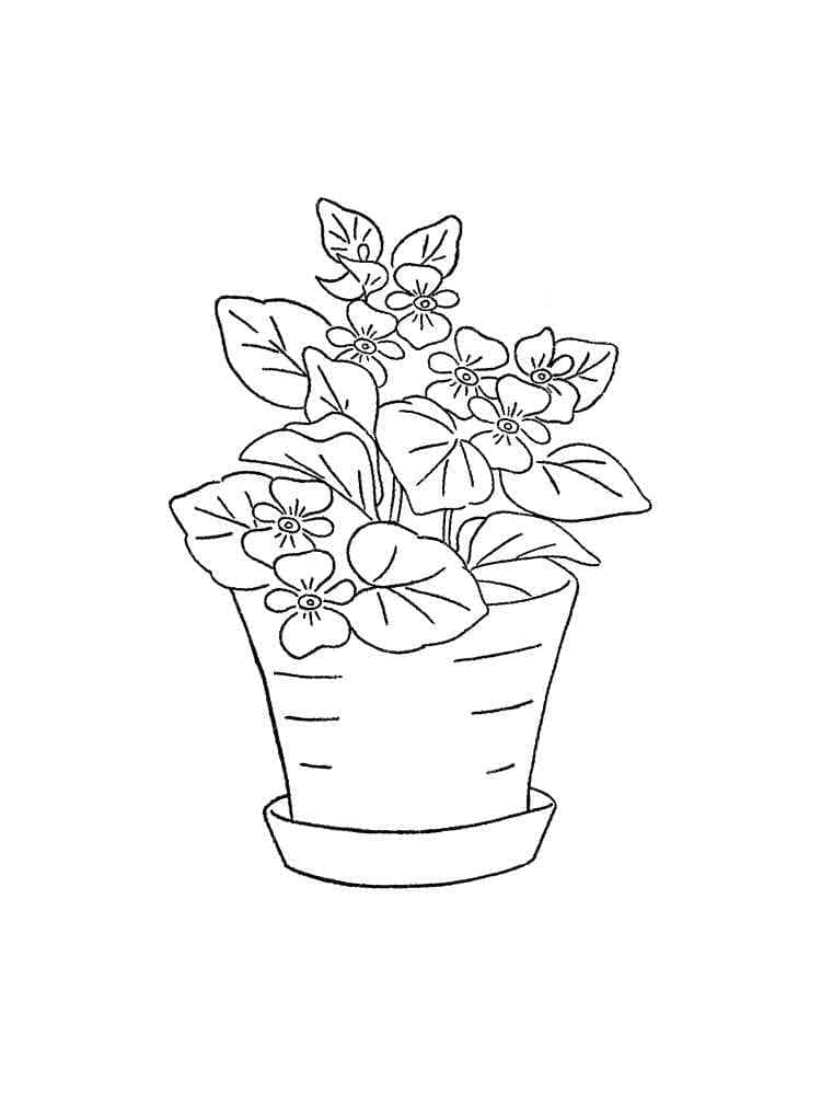 Violet Flowers in A Vase coloring page - Download, Print or Color ...