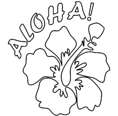 Basic Lovely Hawaiian Flower