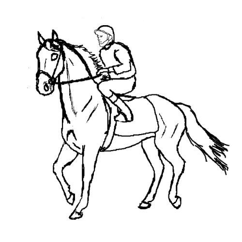 Race Horse coloring pages - ColoringLib