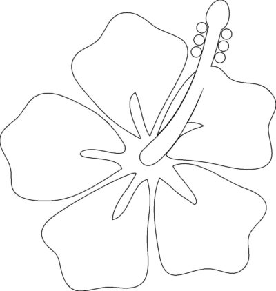 Hibiscus Flower coloring page - Download, Print or Color Online for Free
