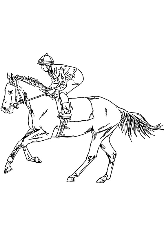 Race Horse Free Download coloring page - Download, Print or Color ...