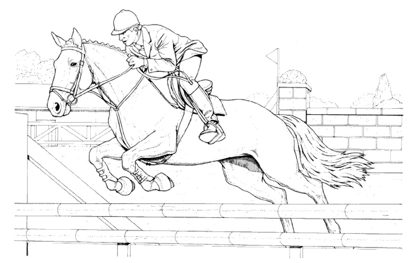 Race Horse Jumping coloring page - Download, Print or Color Online for Free
