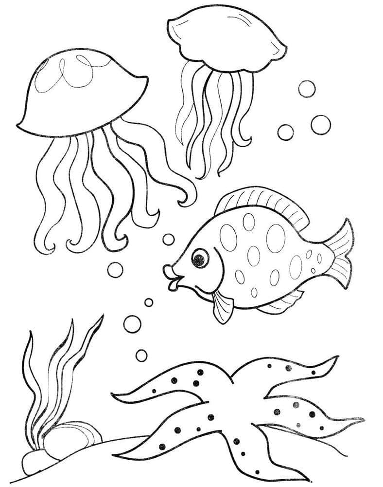 Basic Ocean Creatures coloring page