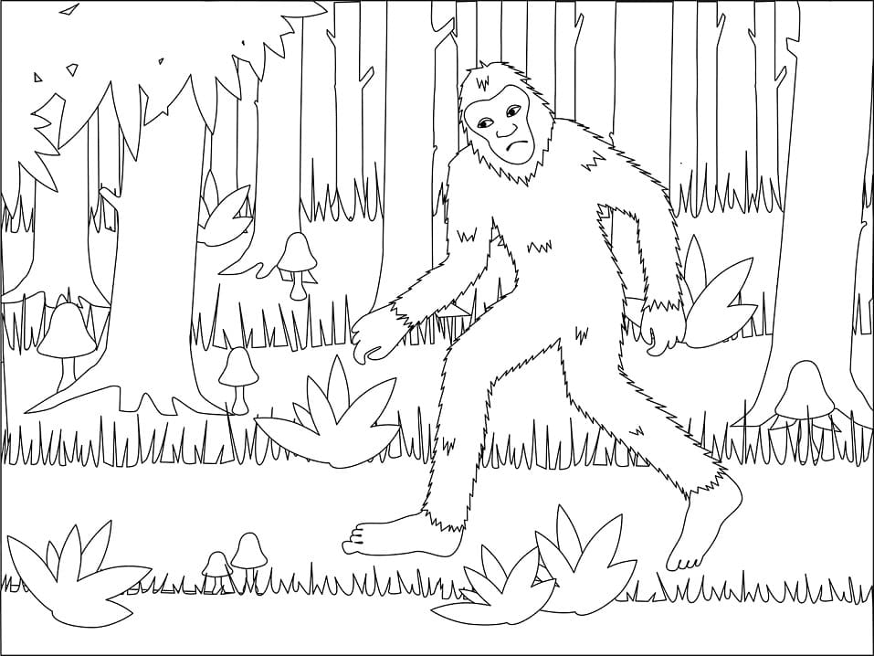 Bigfoot in the Forest