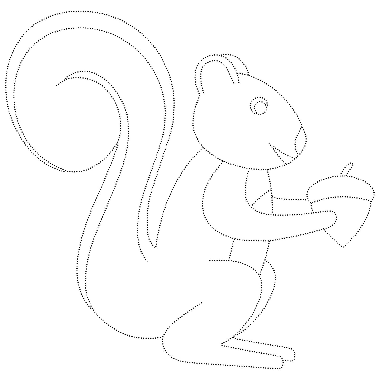 Cute Squirrel Tracing coloring page