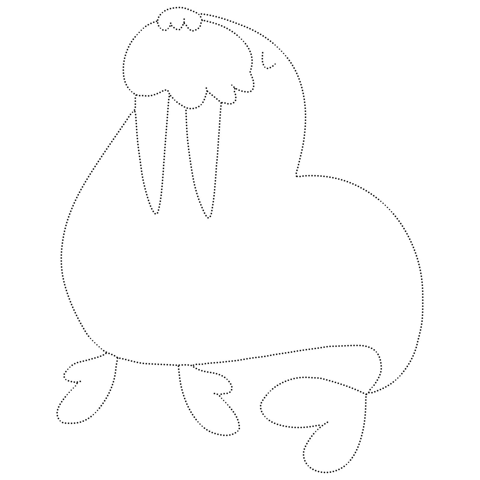 Cute Walrus Tracing coloring page