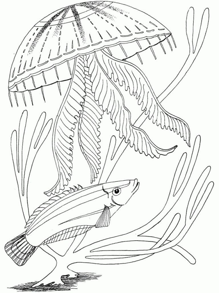 Drawing of Ocean Creatures coloring page