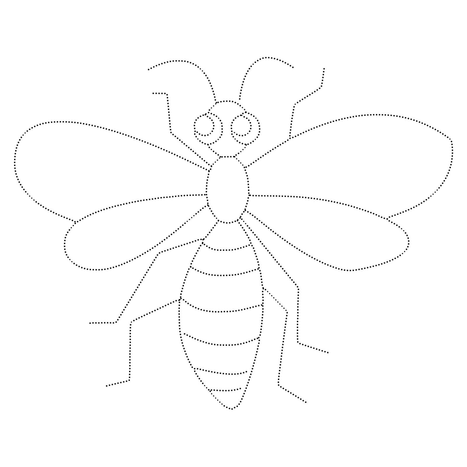 Insect Tracing coloring pages