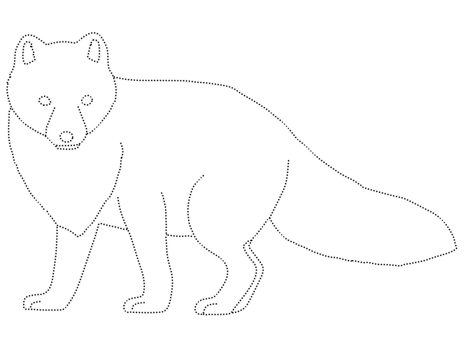 Fox Tracing Worksheet