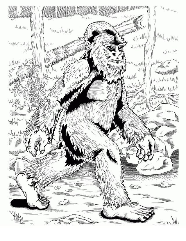 Free Printable Bigfoot