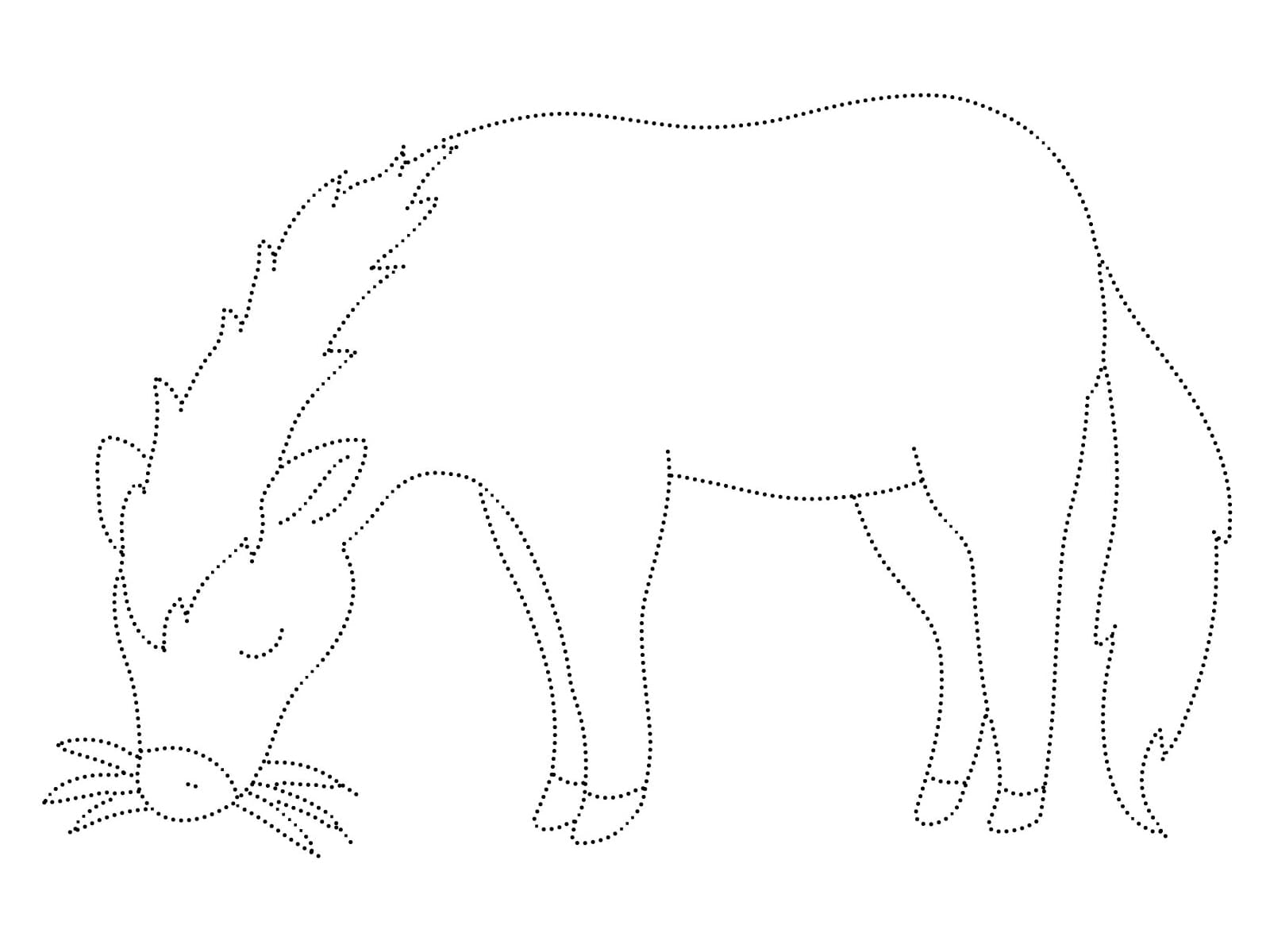 Horse Eating Grass Tracing Worksheet coloring page