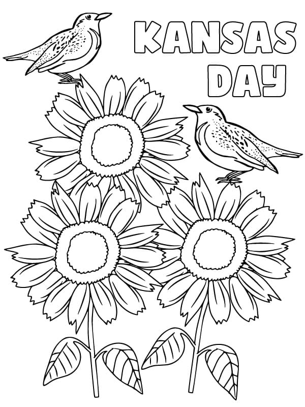 kansas-state-bird-and-flower-coloring-page-download-print-or-color