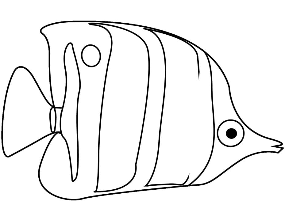 Normal Angelfish coloring page