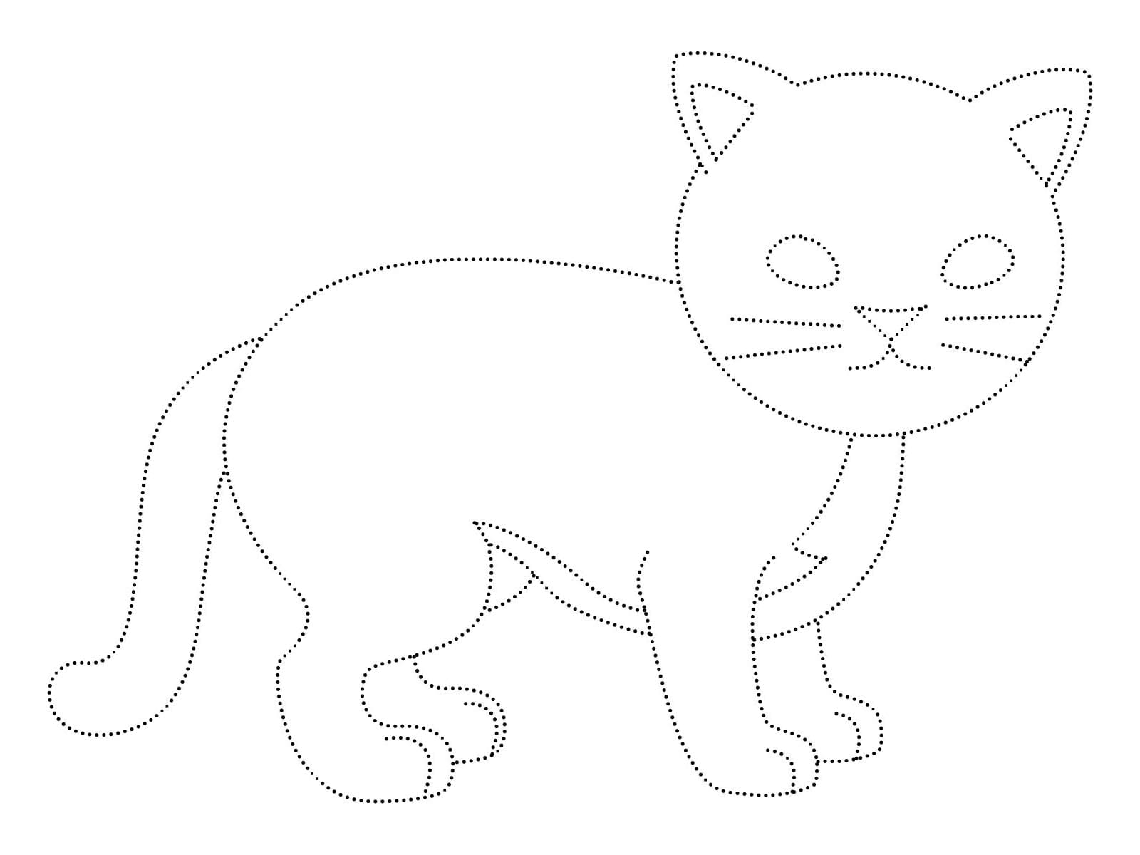 Normal Cat Tracing