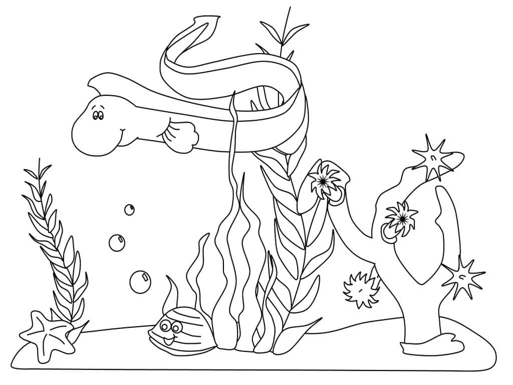 Ocean Creatures for Kids coloring page