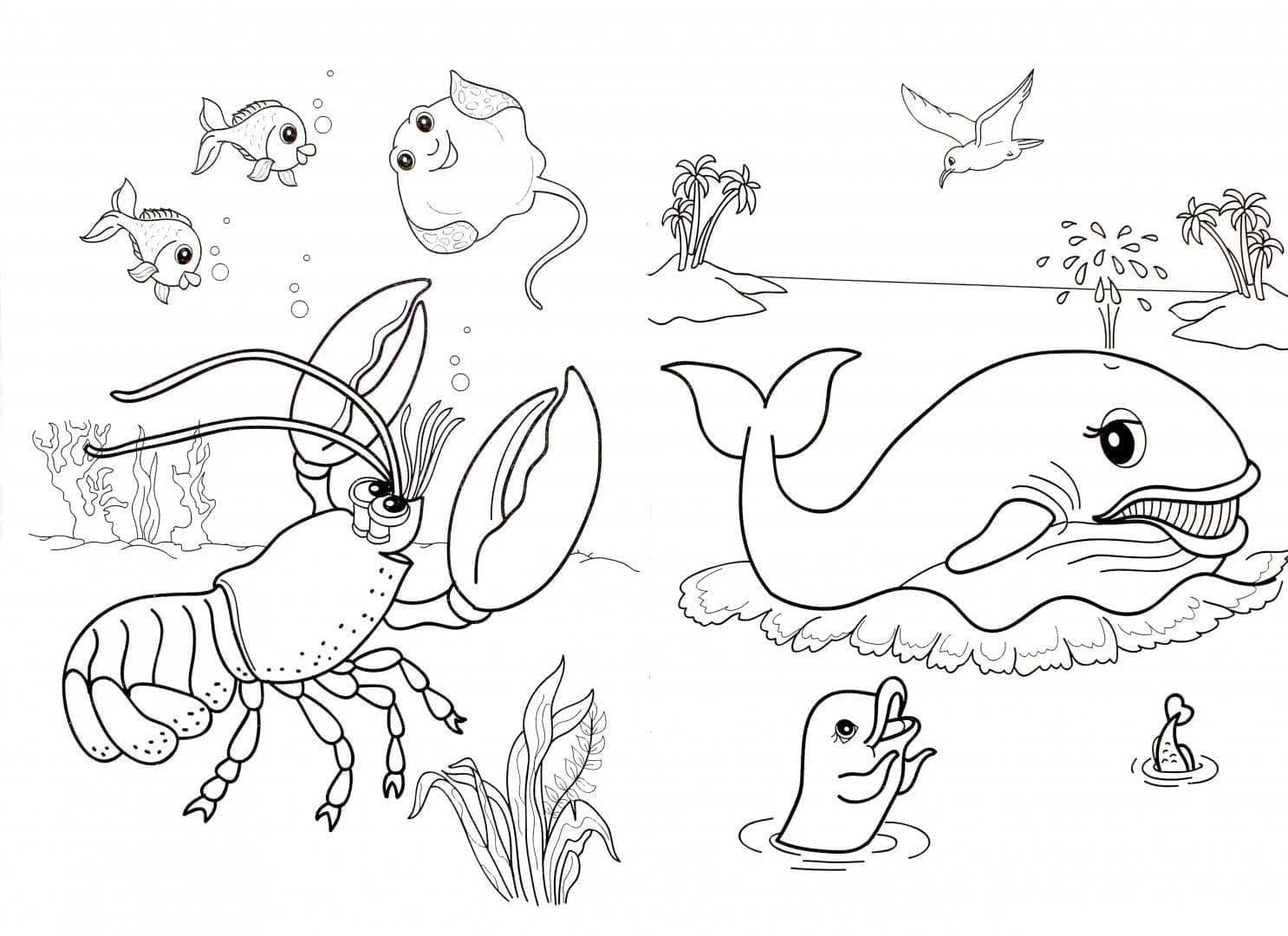 Ocean Creatures Free Printable coloring page