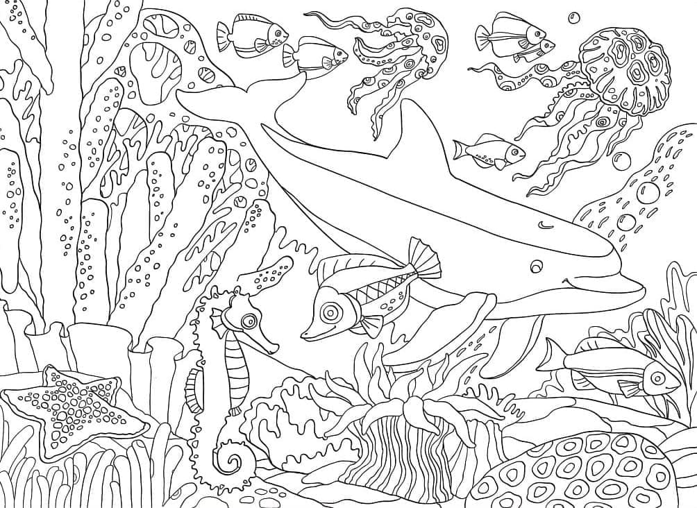 Ocean Creatures to Print