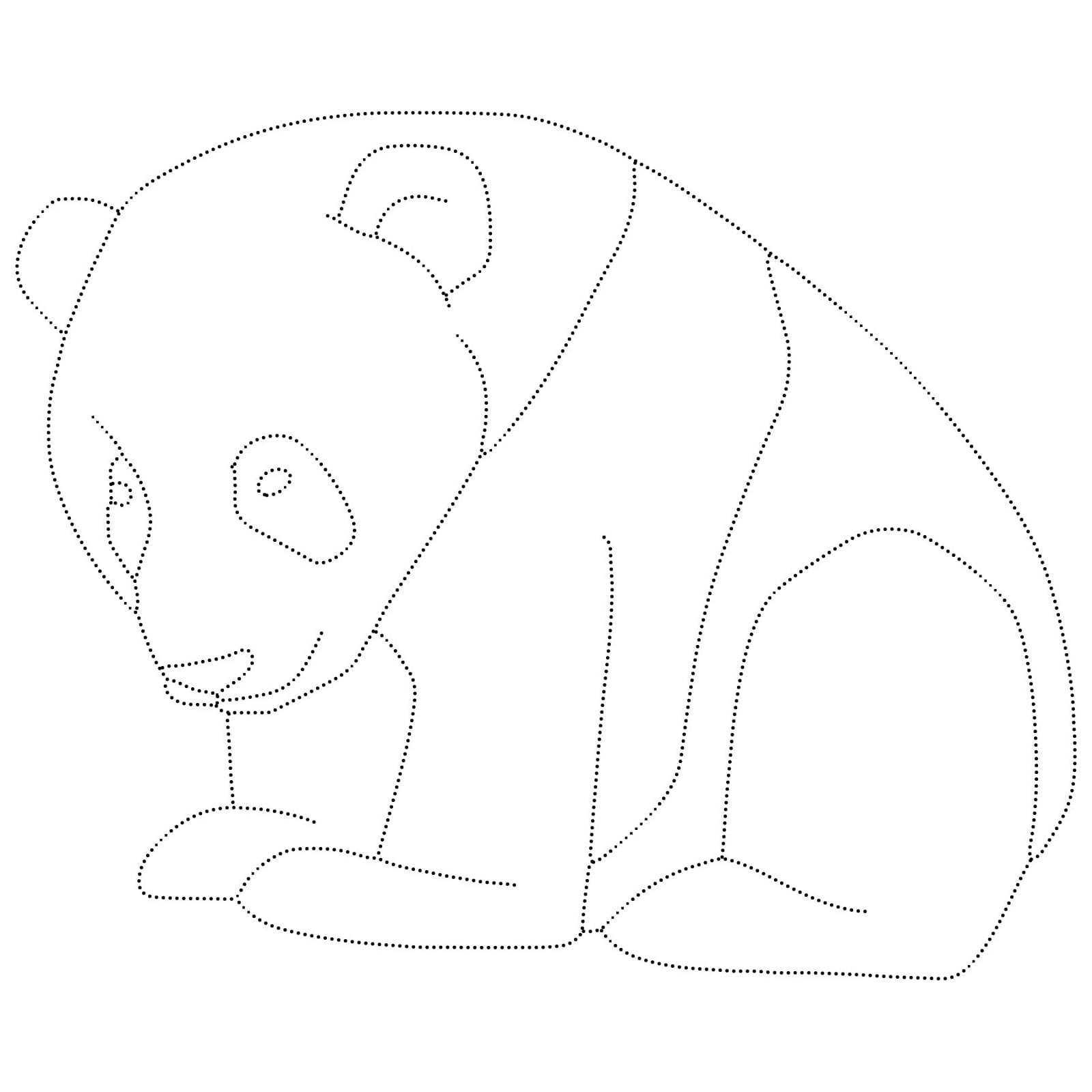 Panda Tracing Image