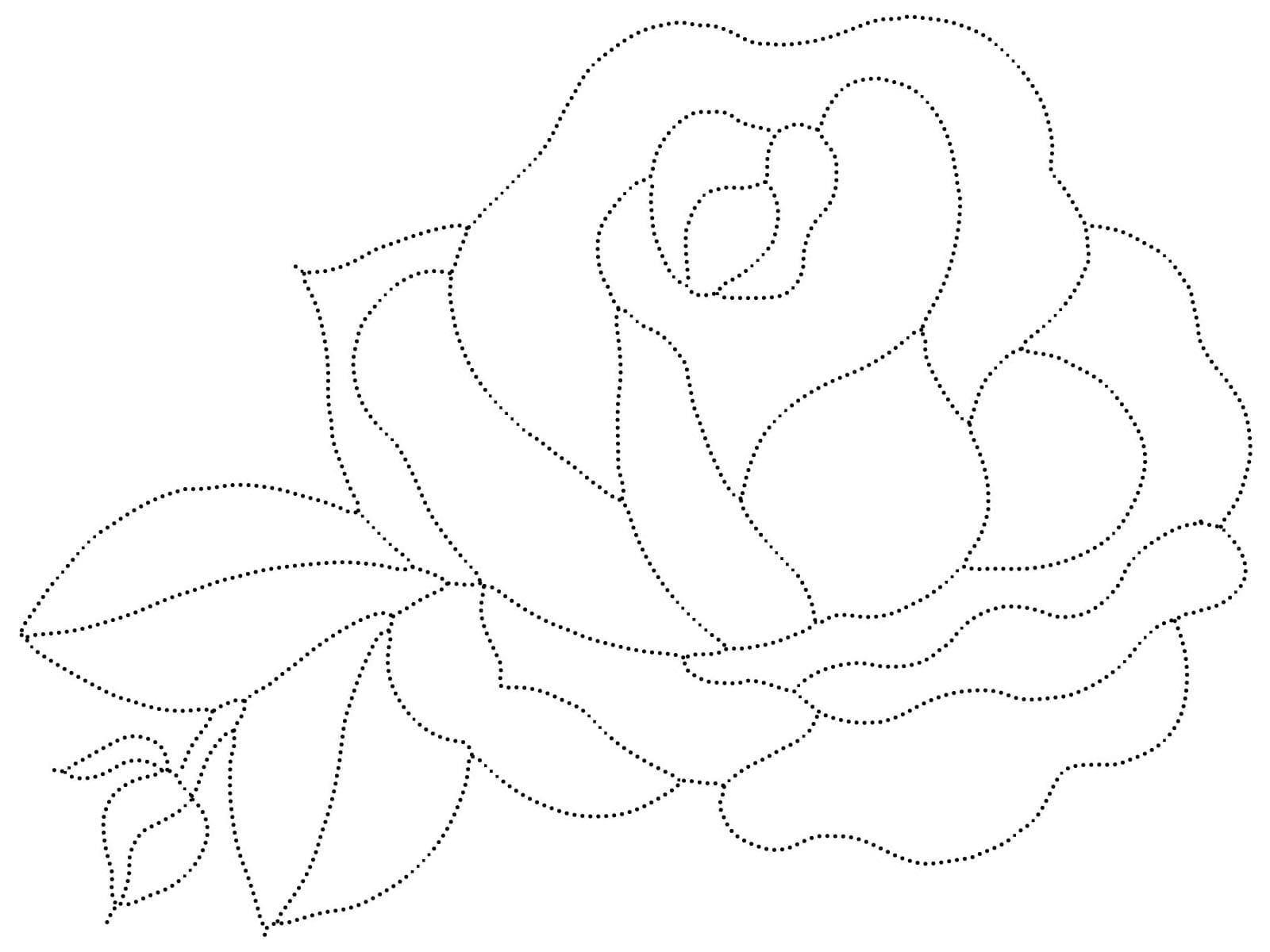 Rose Tracing Coloring Pages Coloringlib