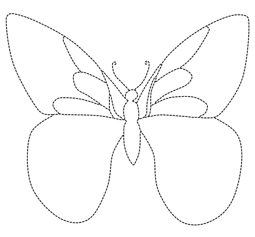 Print Butterfly Tracing