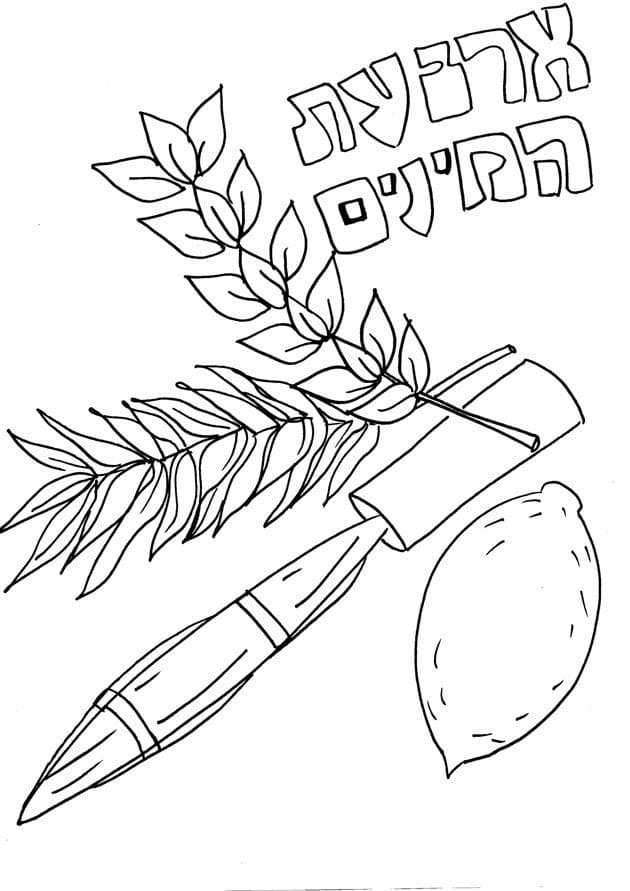 Print Sukkot