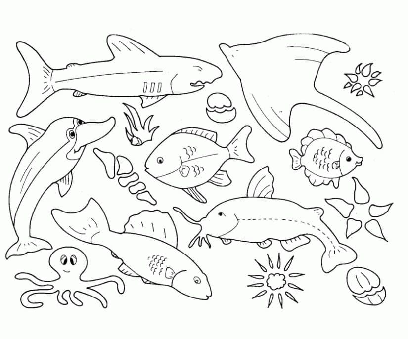 Printable Ocean Creatures