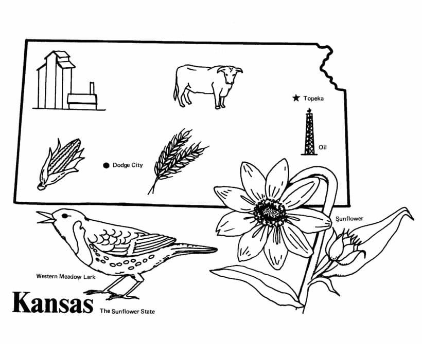 Printable State of Kansas coloring page - Download, Print or Color ...