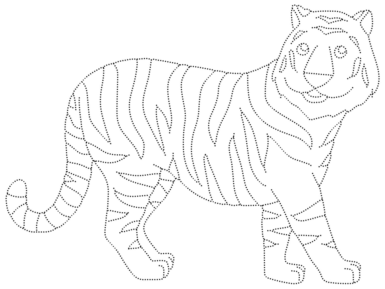 Tiger Tracing Worksheet