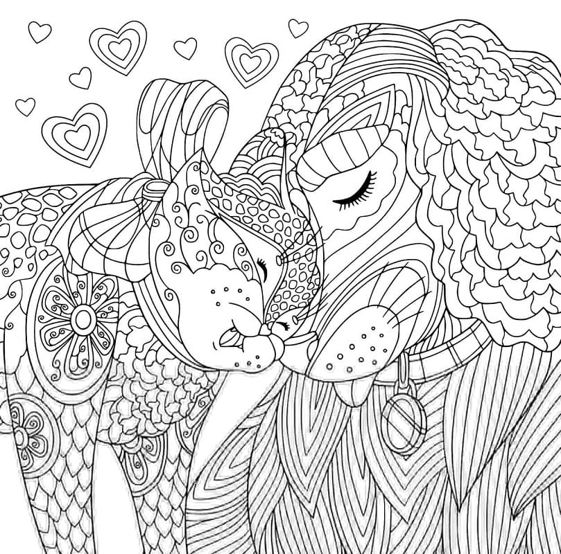 Cat and Dog For Adults coloring page