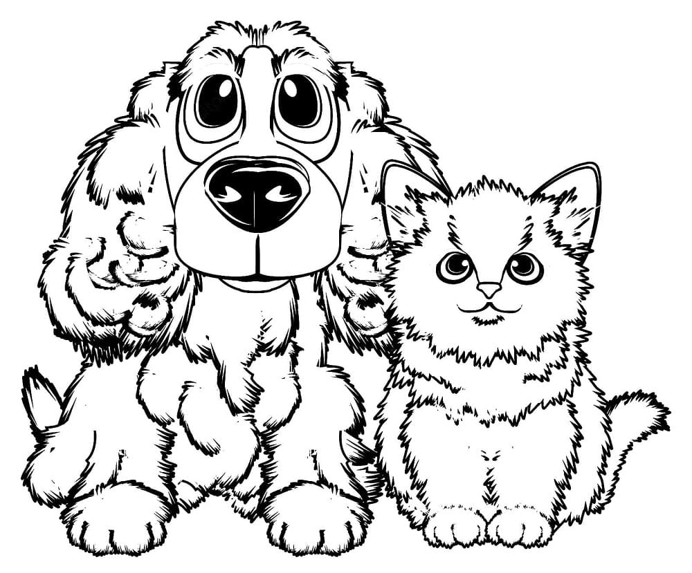 Dog and Cat Image