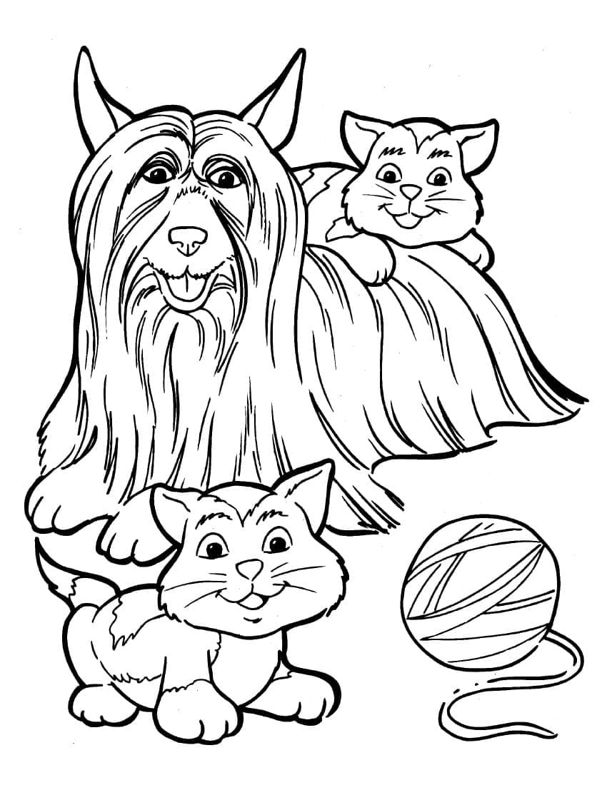 Dog and Cats coloring page