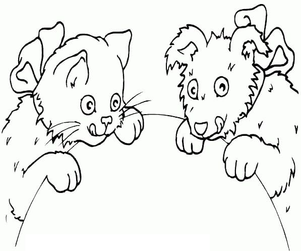 Drawing of Cat and Dog