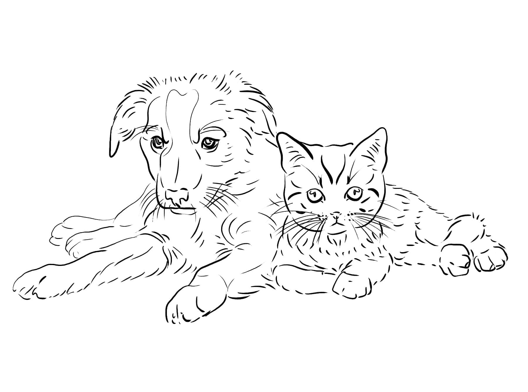 Cat and dog drawing for coloring page Free Printable! Nurieworld