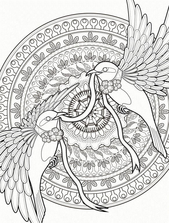 Hummingbirds Design for Teens coloring page