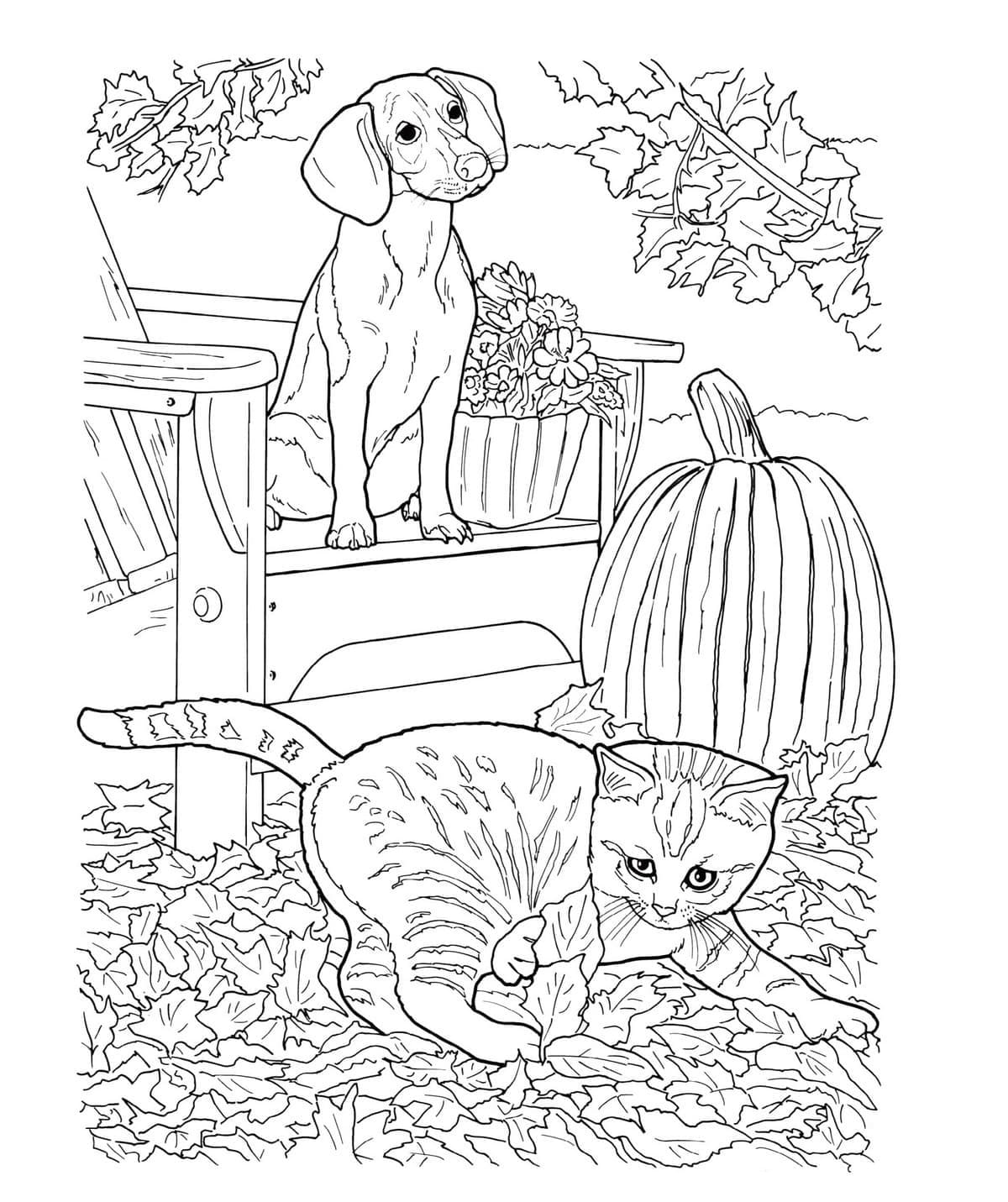 Realistic Dog and Cat coloring page