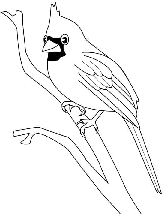 A Cute Cardinal coloring page