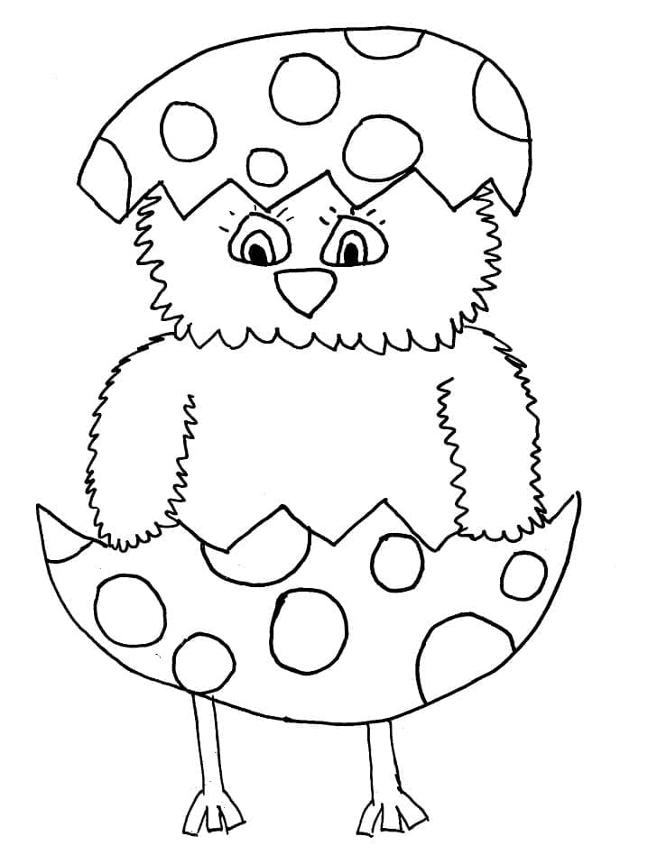 A Funny Easter Chick