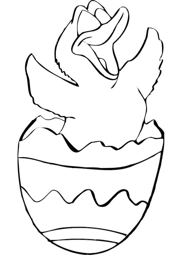 A Happy Easter Chick coloring page