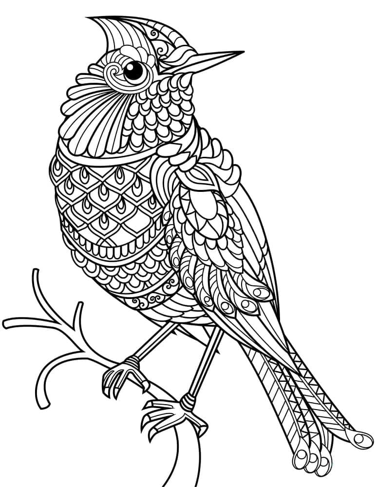 Beautiful Cardinal Zentangle coloring page