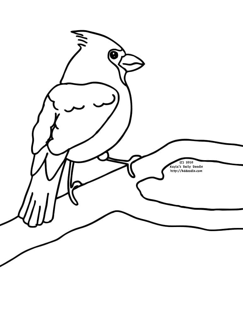 Cardinal Bird on a Branch coloring page