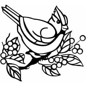 Cardinal For Free coloring page