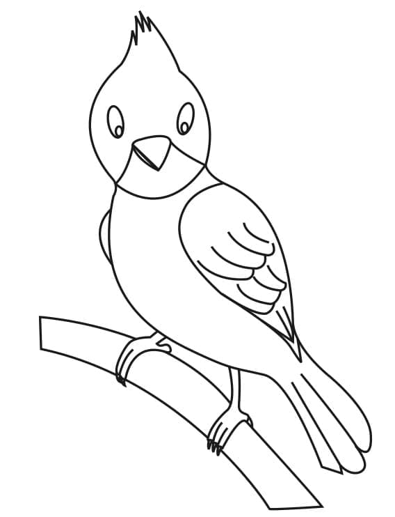 Easy Cardinal coloring page