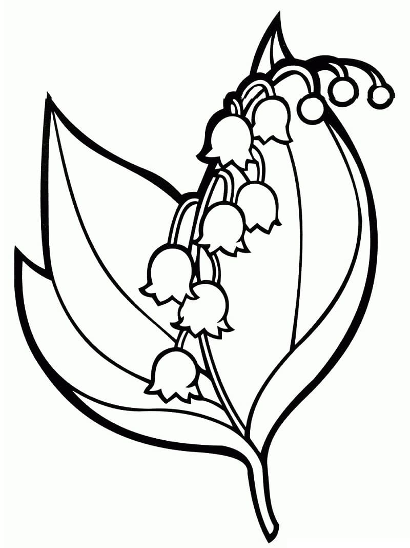 Free Printable Bellflower