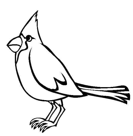 Printable Cardinal