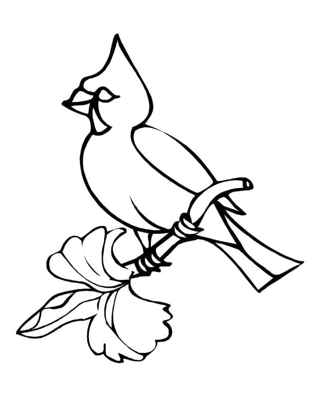 Small Cardinal Bird coloring page