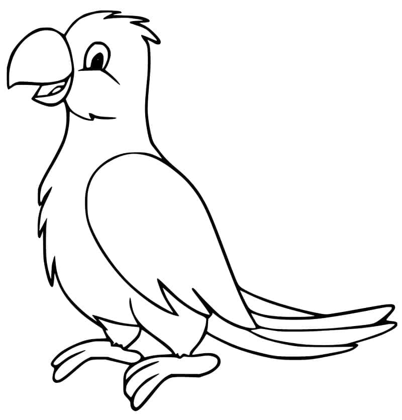 A Cartoon Cockatoo