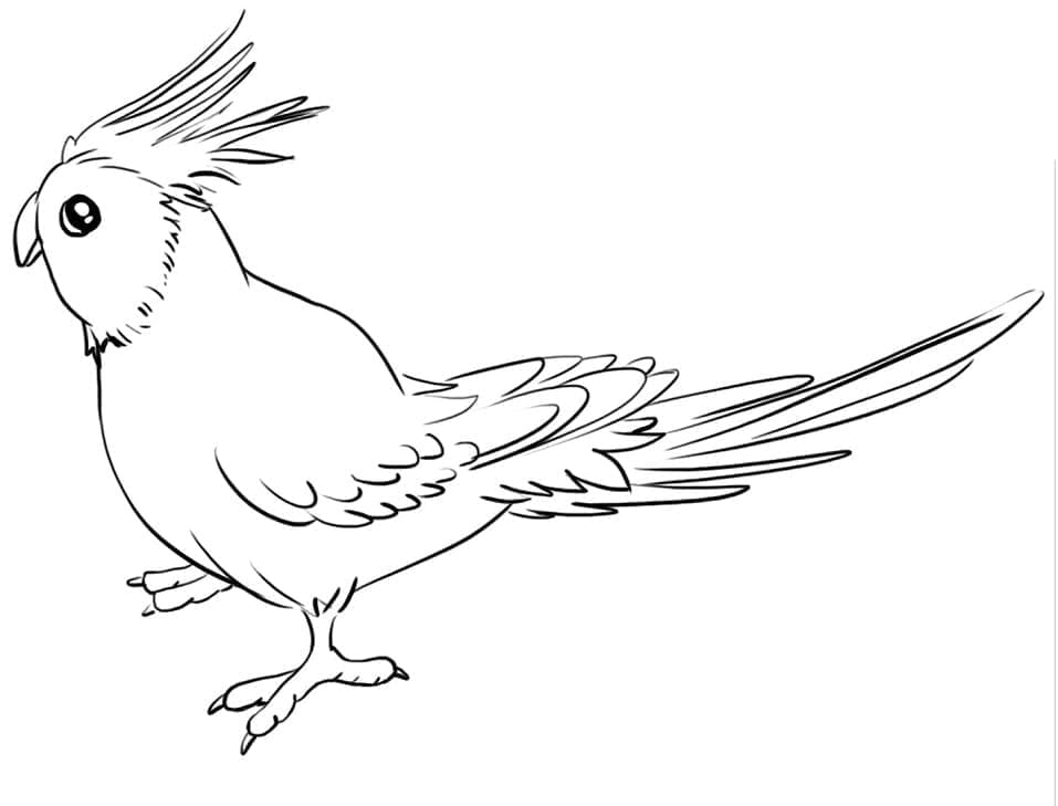 Adorable Cockatoo coloring page