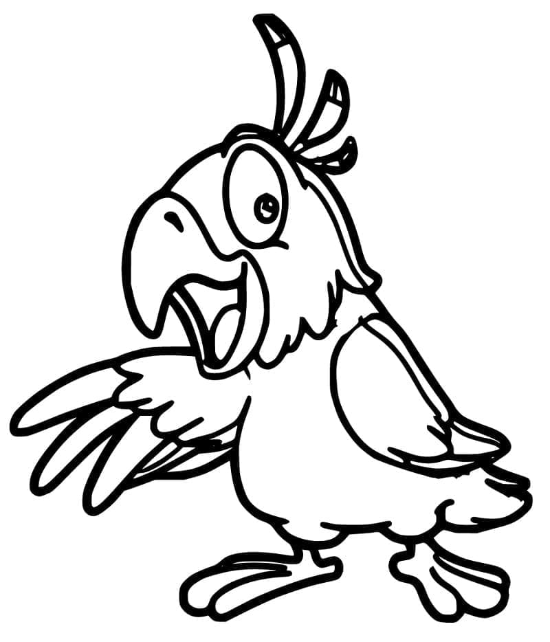 Animated Cockatoo