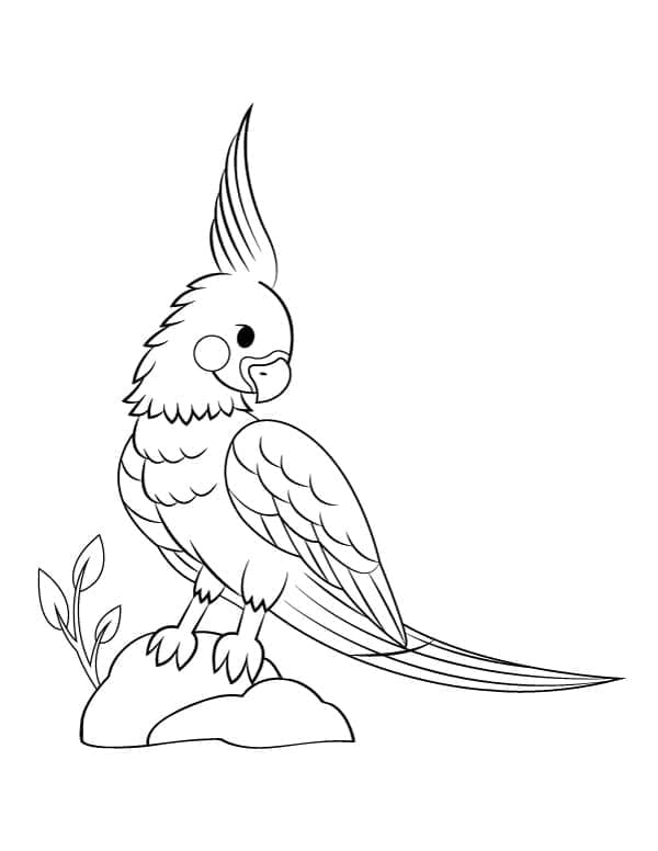 Beautiful Cockatoo coloring page